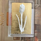 Debra Hewitt White Tulip Prayer Box